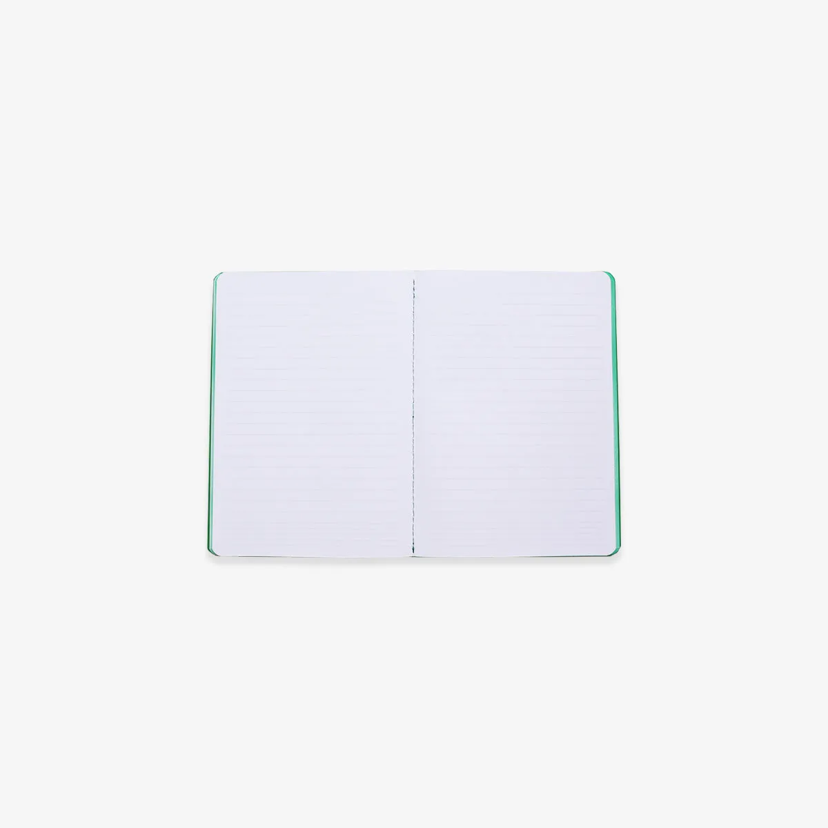 ENZO MARI NOTEBOOK A6 // PEAR