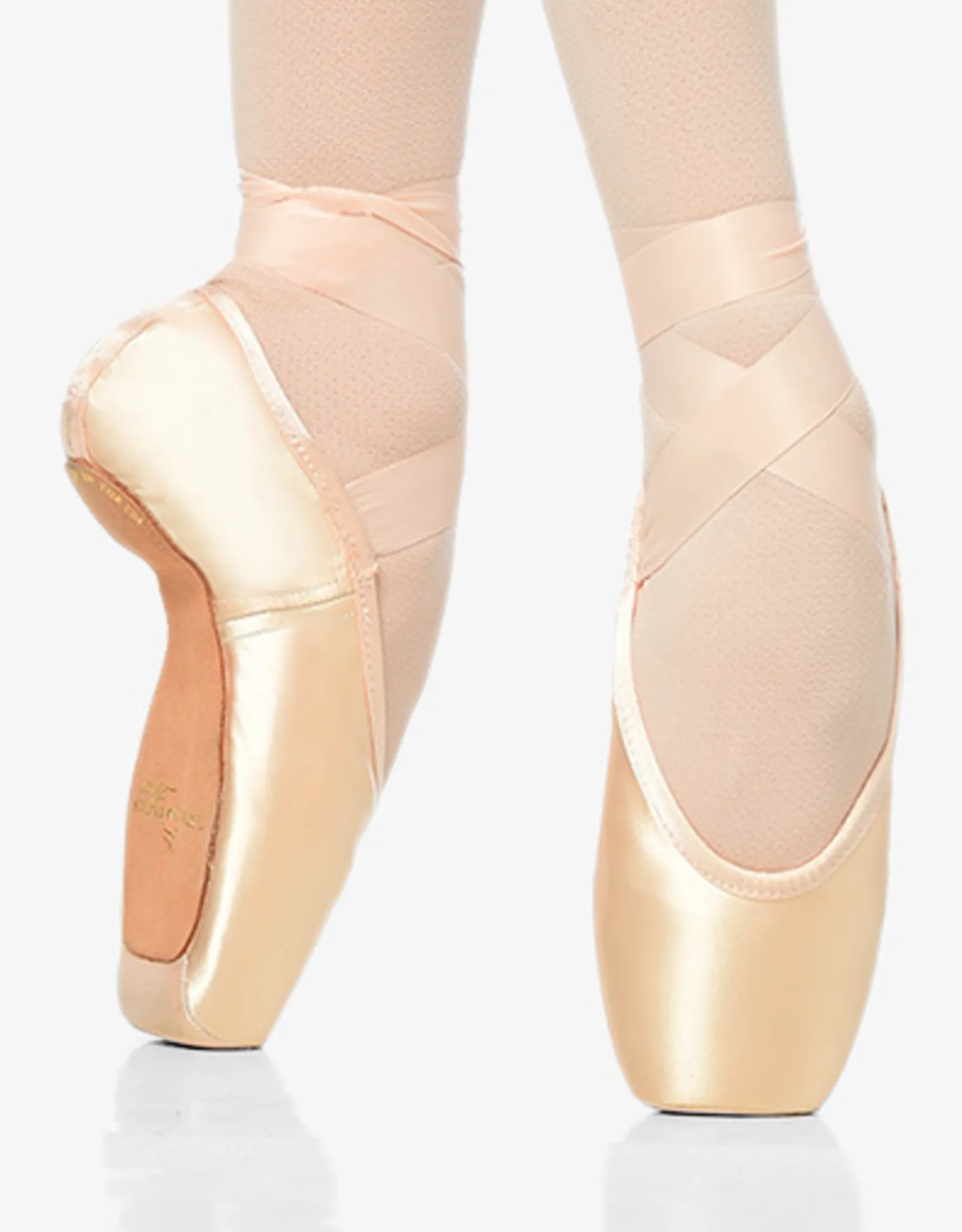 Gaynor Minden Sleek Pointe Shoes SK-XDL Made In The USA