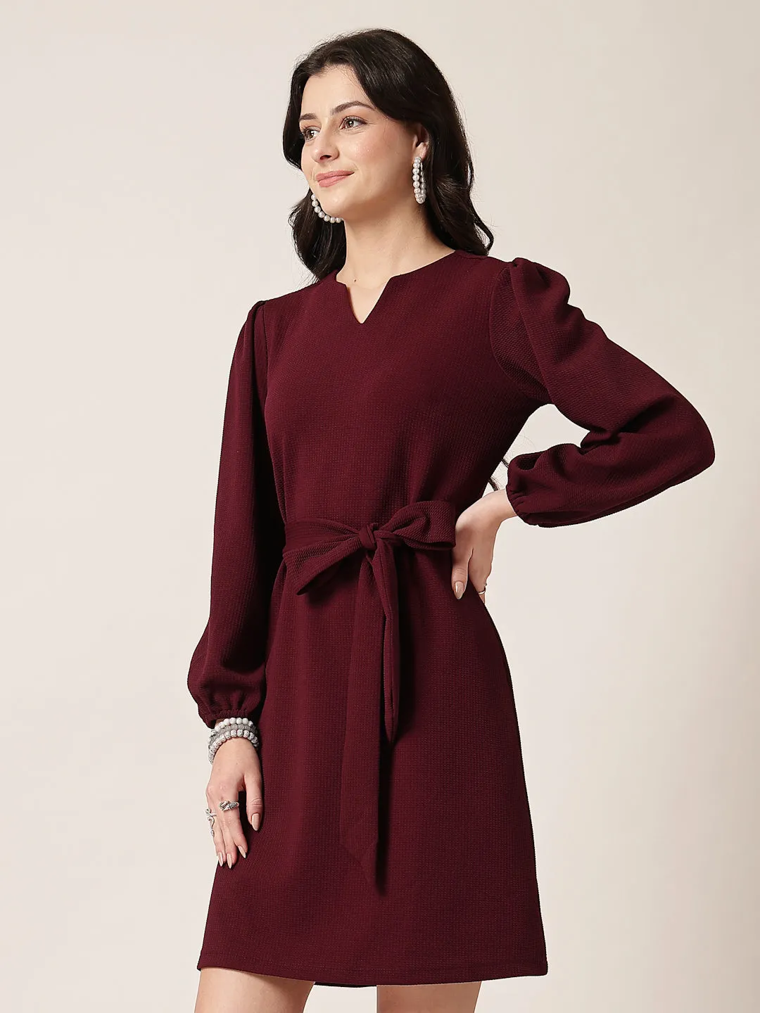 Style Quotient Women Maroon Knit Dress