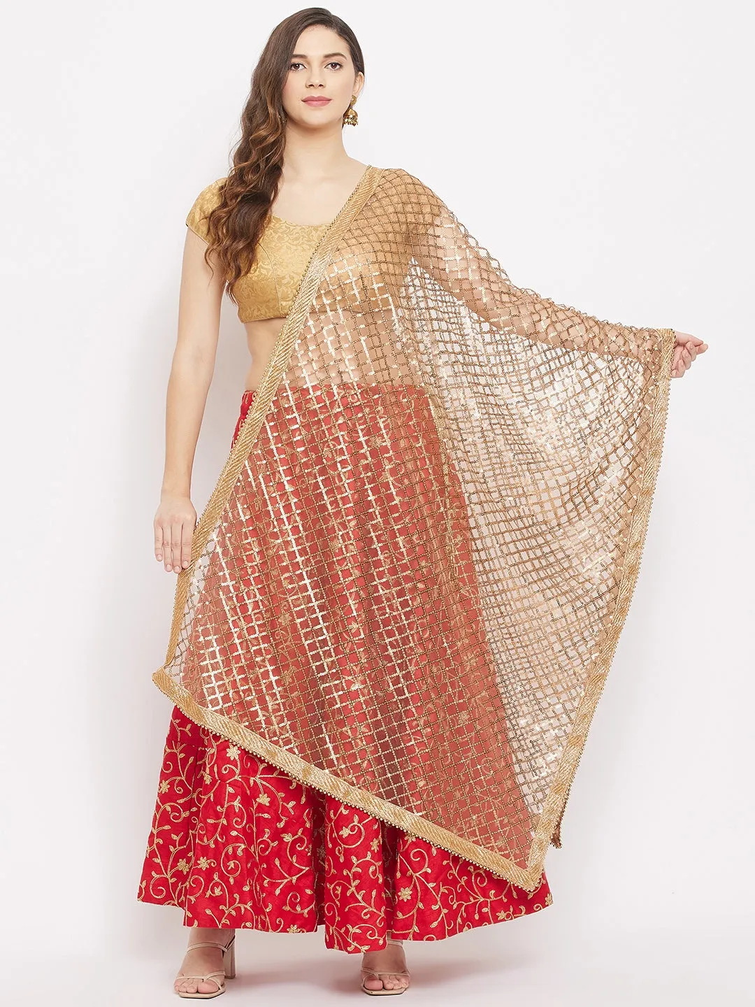 Women Golden Embellished Sequined Net Dupatta