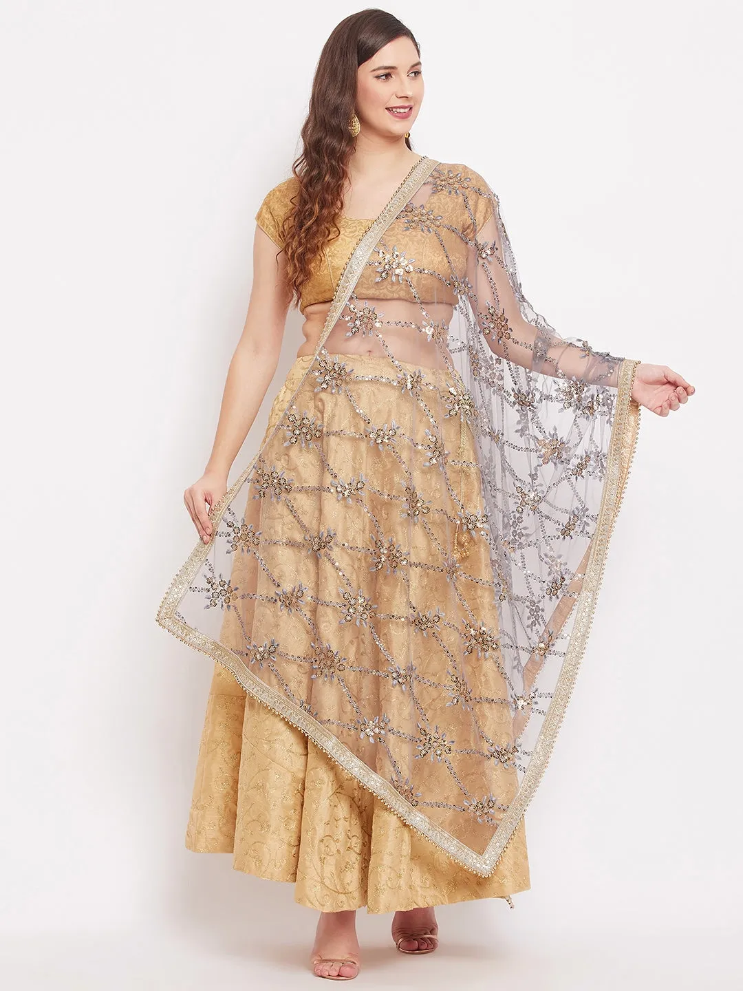 Women Grey Embroidered Net Dupatta With Sequined